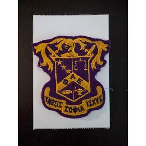Vintage 50s-70s Phi Alpha Epsilon Greek Crest Patch 4.5" Felt Collegiate